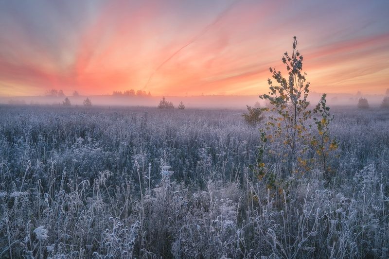 Красочный рассвет на серебряном полеphoto preview