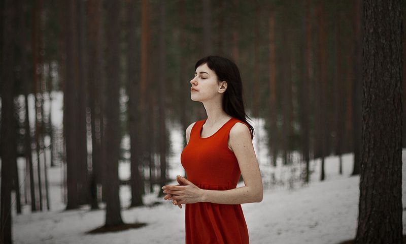 portrait, портрет, лес, девушка, красное, платье, зима, модель Karinaphoto preview