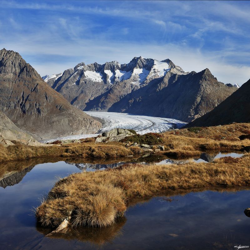 swiss Изгибы..photo preview