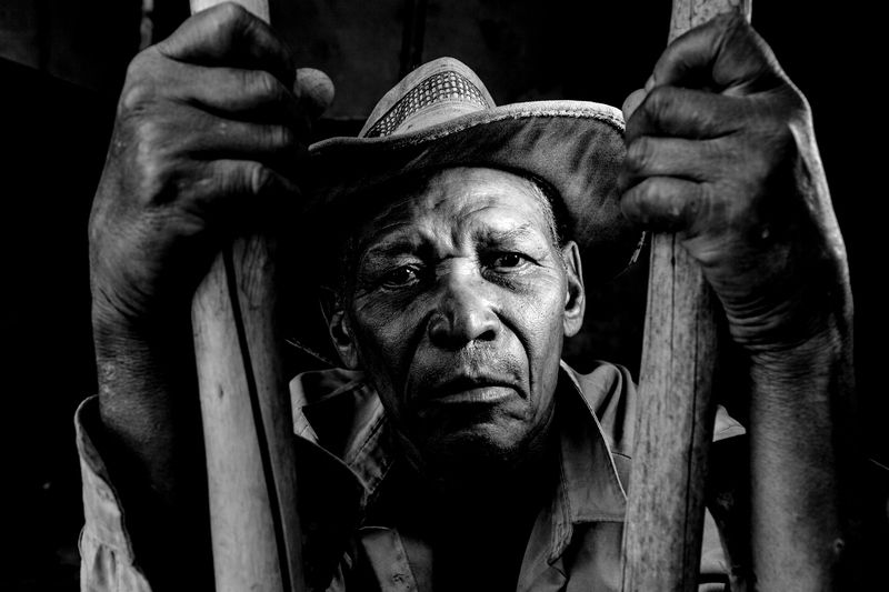 Strenght and Honourphoto preview