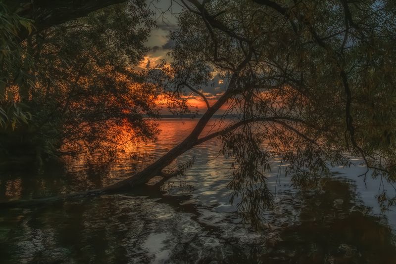 Московская область photo preview