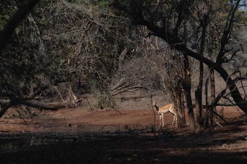 Минимализм. фото превью
