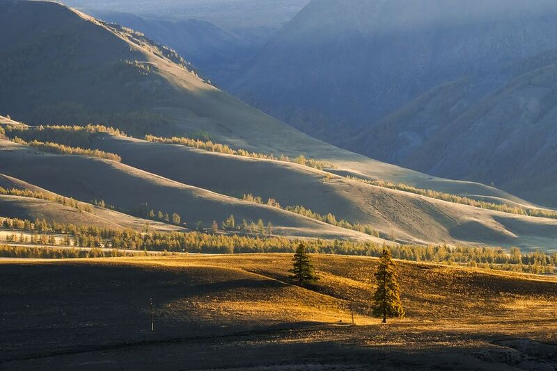 Алтайские предгорьяphoto preview