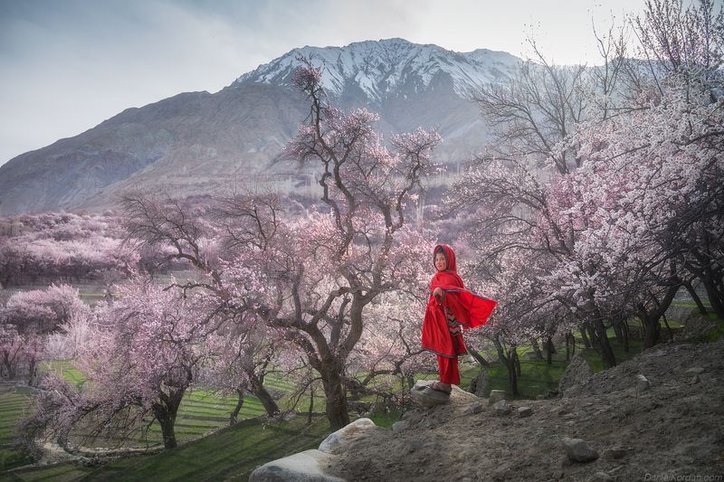 Pakistan Pakistanphoto preview