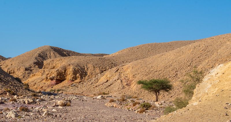 Пустыня Араваphoto preview