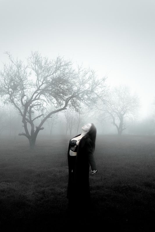 Белыйphoto preview