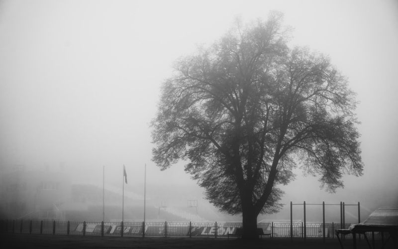 Туманphoto preview