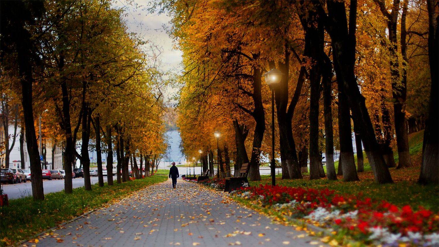 , Фотов Ренат