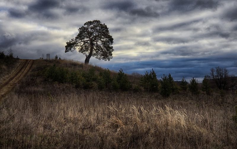 Снова осеньphoto preview