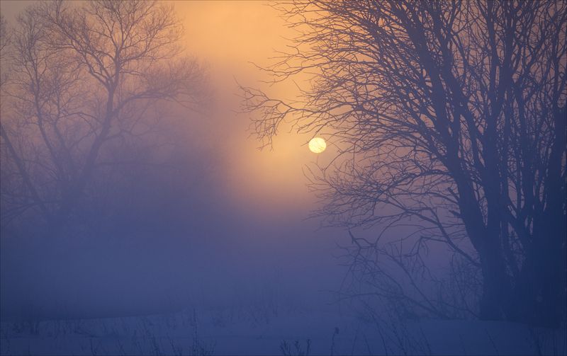 рассвет, мороз, туман, солнце ***photo preview