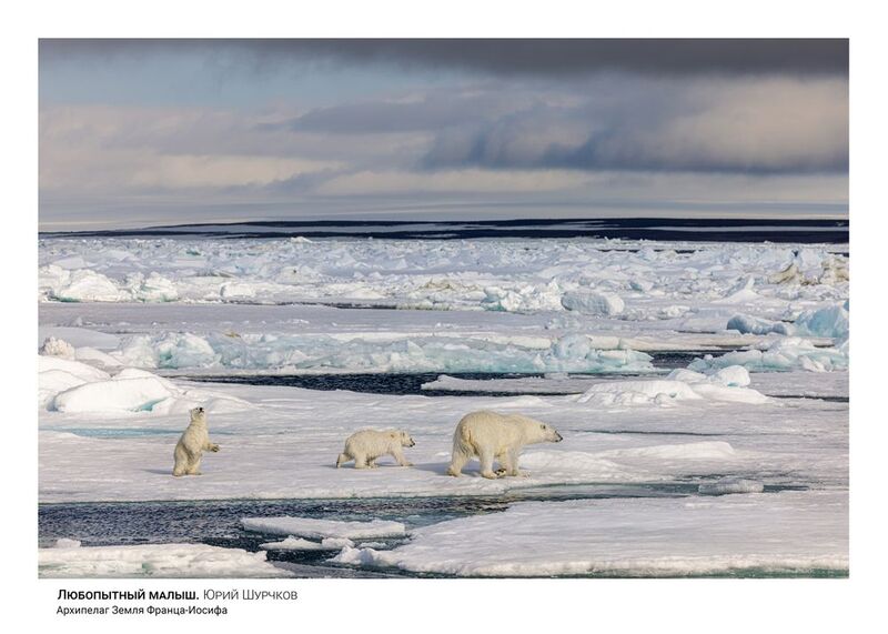 Любопытный малышphoto preview