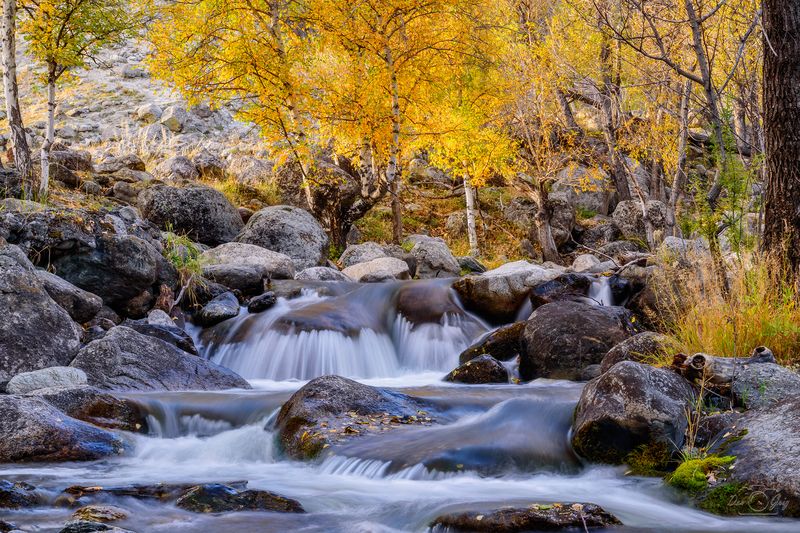 алтай, долина реки чулышман, осень Воспоминания об осениphoto preview