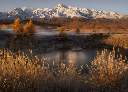Золото осени