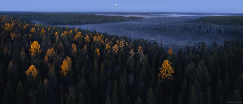 пейзаж, природа, осень, болото, панорама, луна, озеро Мыс золотых лиственниц фото превью