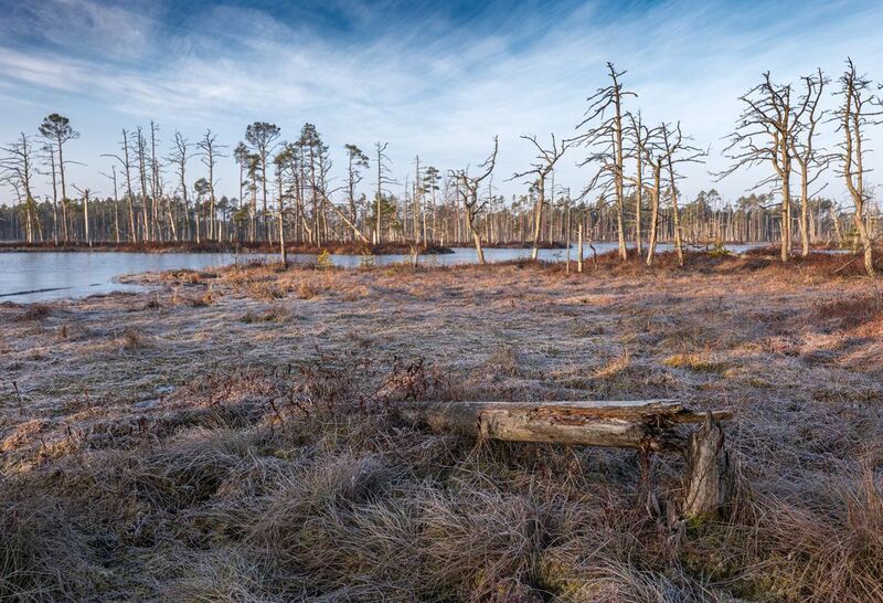 Утро веснойphoto preview