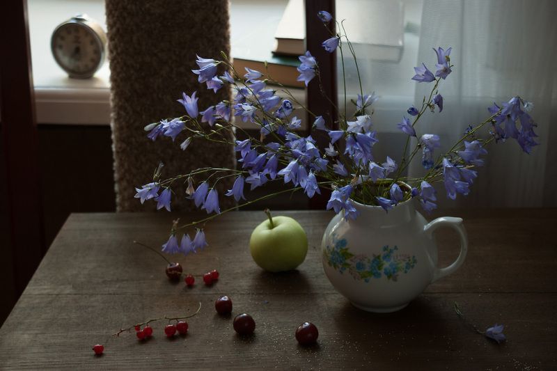 лето, букет, колокольчики О летеphoto preview