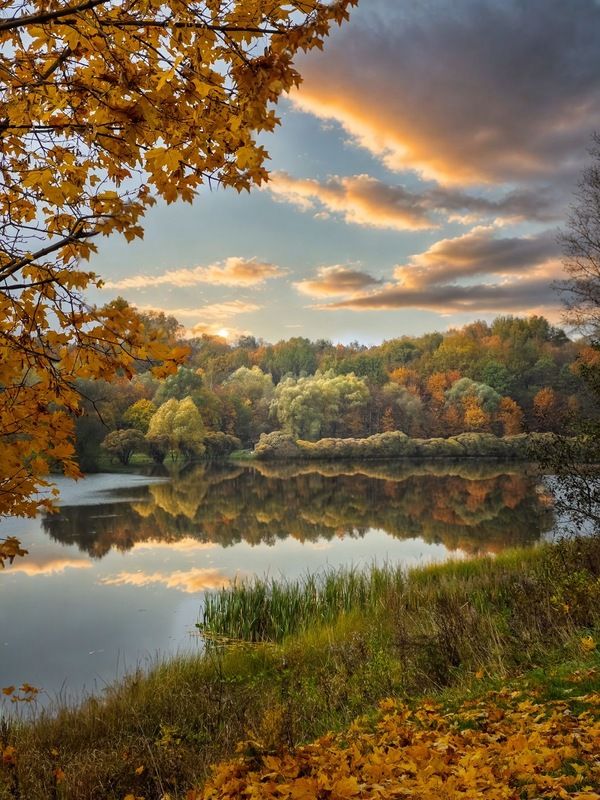 пейзаж, landscape, nature, природа, осень, autumn, золотаяосень, goldatum, закат, sunset, пруд ***photo preview