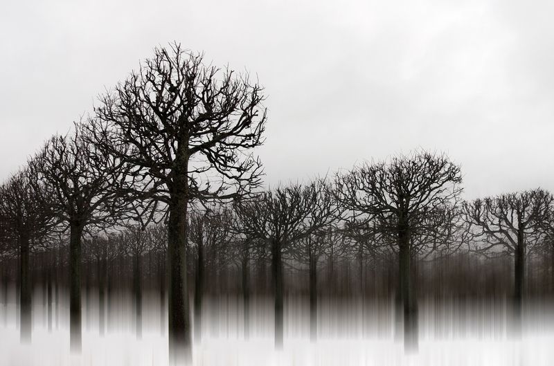 петергоф, парк lllllphoto preview