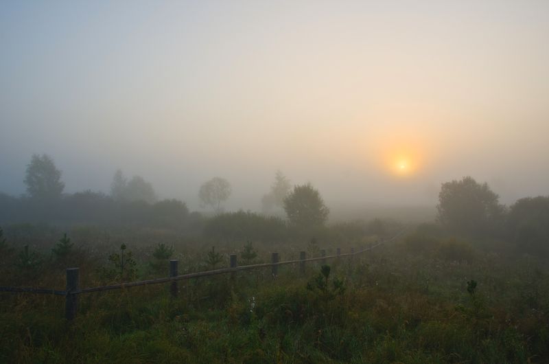 Туман, утро, рассвет, пушкинские, горы Утро раннее и туманное.photo preview
