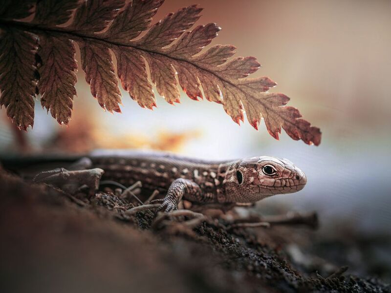 Мир большой, а ты маленький...photo preview