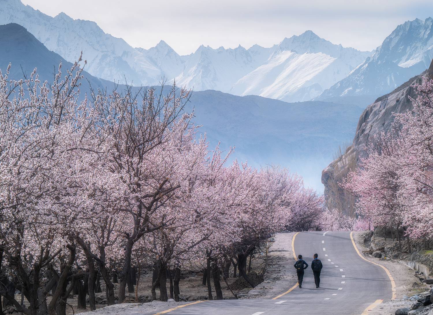 Pakistan, Даниил Коржонов