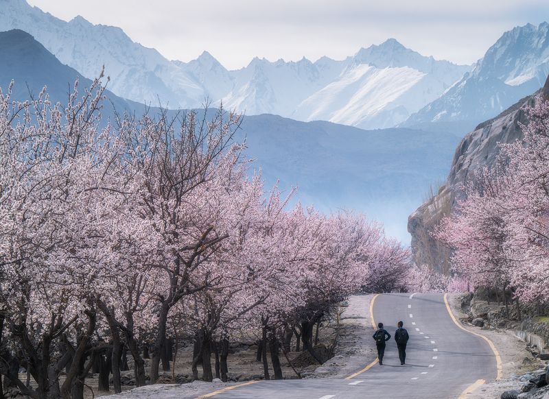 Pakistan Pakistanphoto preview