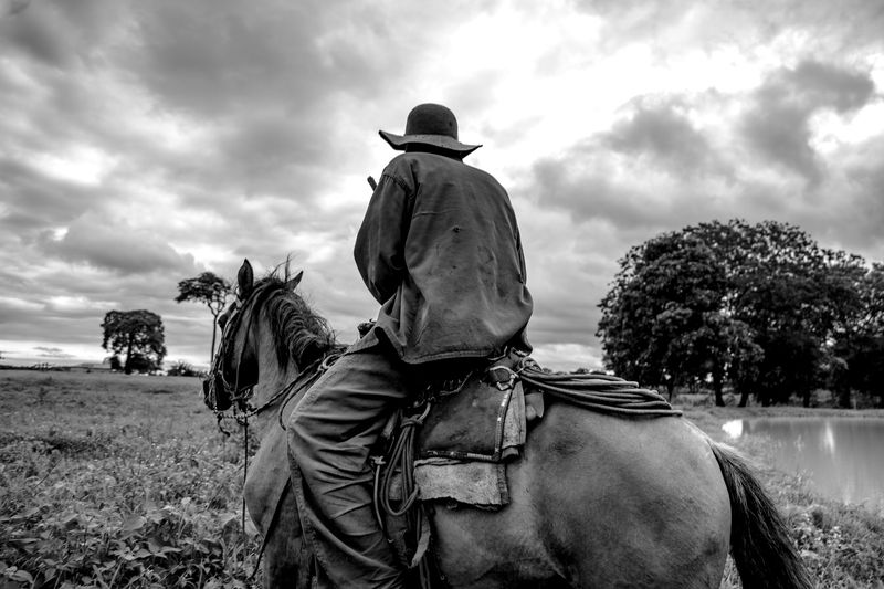 The Devil to Pay in the Backlandsphoto preview