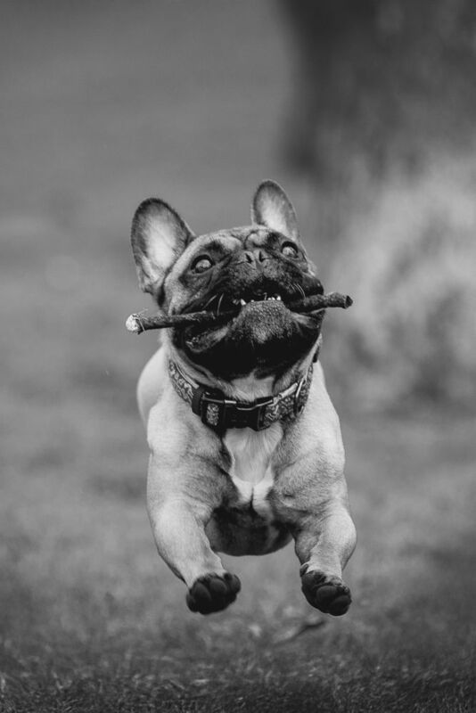 Нильсphoto preview