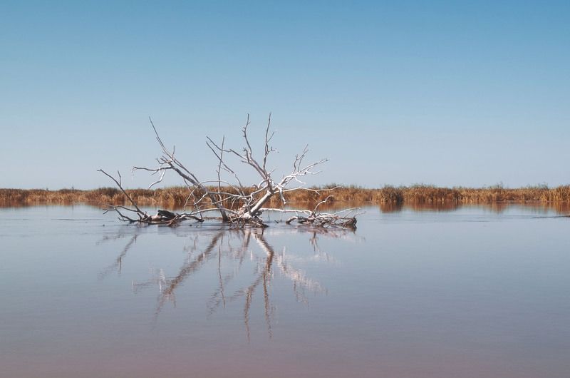 волга, россия, астраханская область,  Дельта Волгиphoto preview