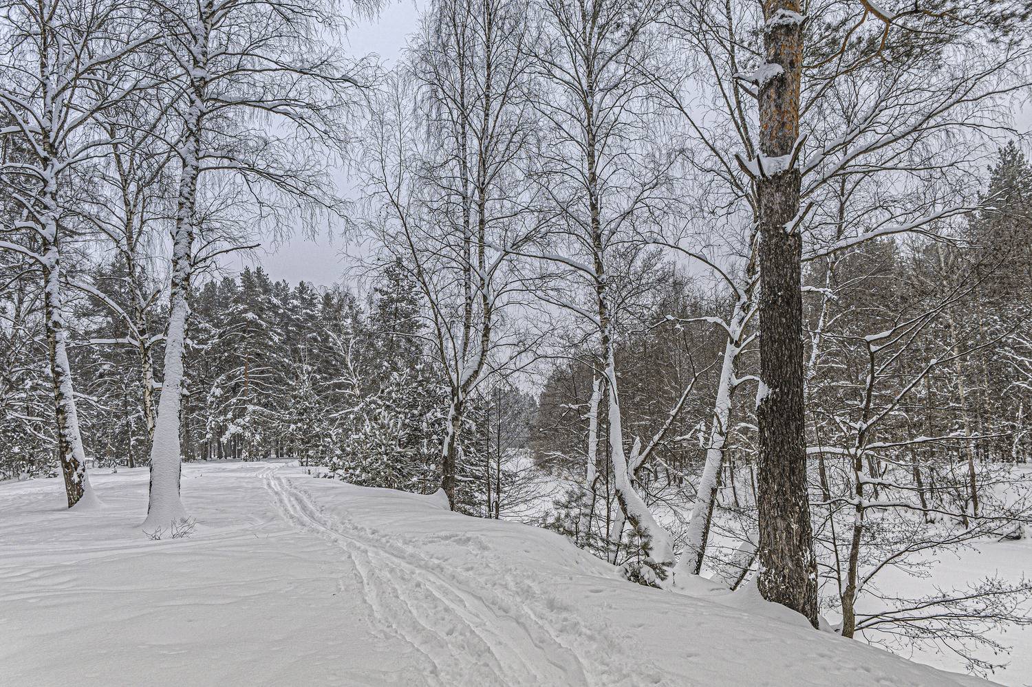 , Шитов Александр