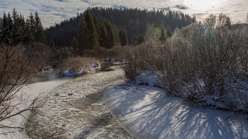 базаиха ноябрь ** *photo preview