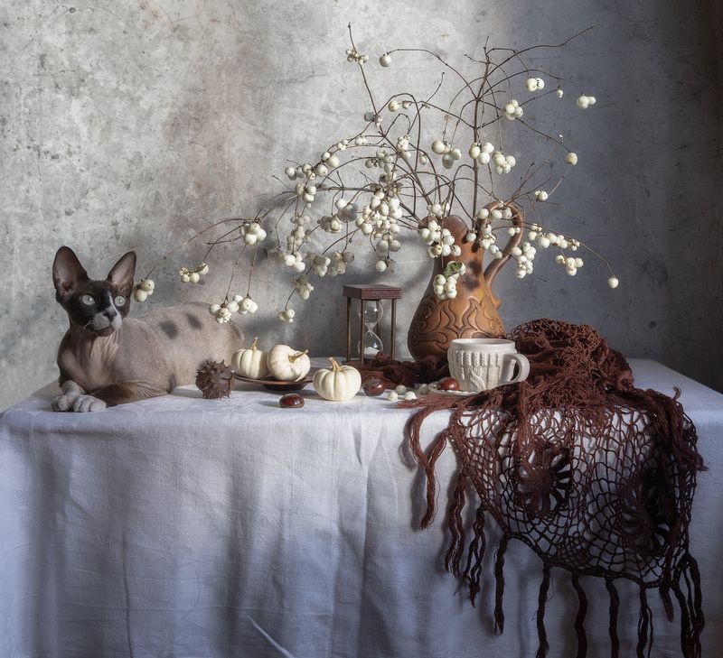 натюрморт, кот, шаль, снежноягодник, тыква, тыквы, каштан, кружка, часы Вписался)photo preview