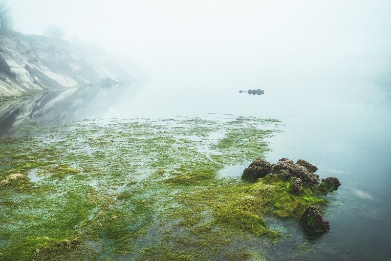 Туманphoto preview