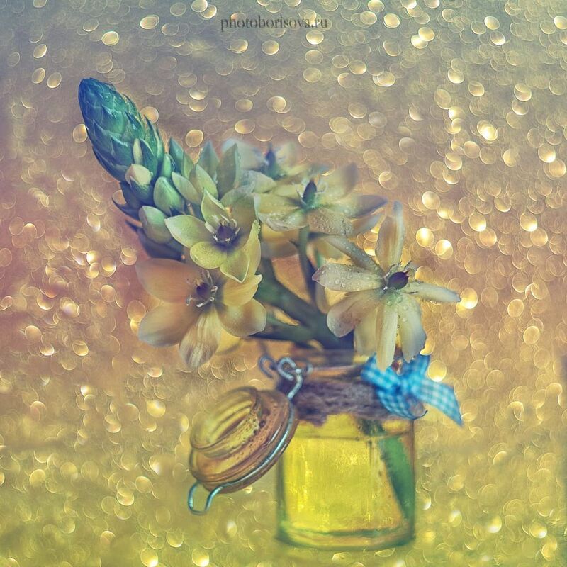 Макро съемка на мануальные объективы фото превью