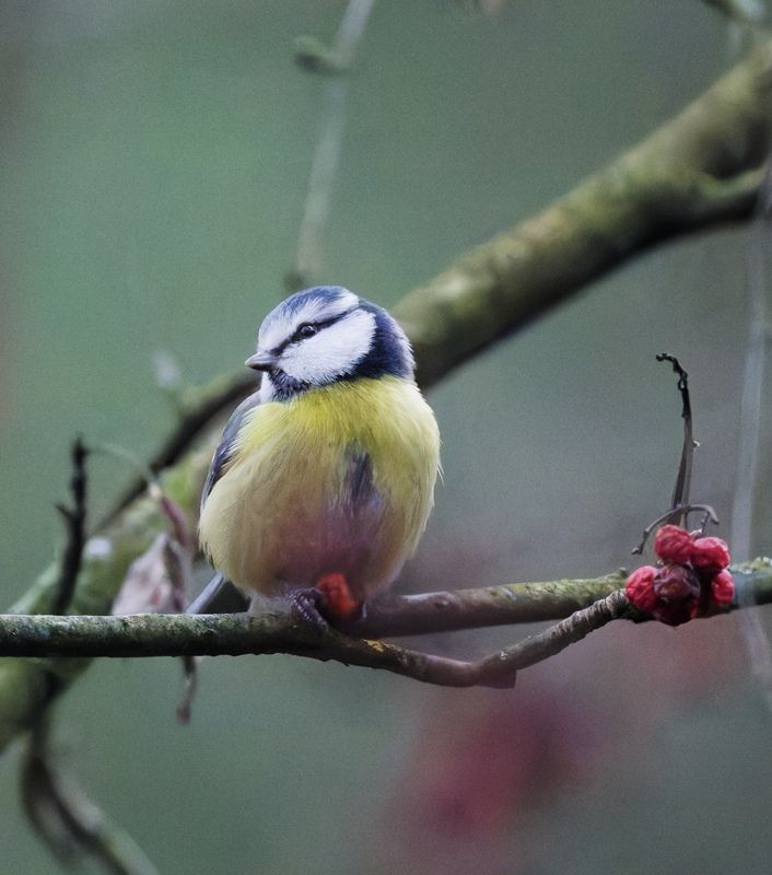 Осень фото превью