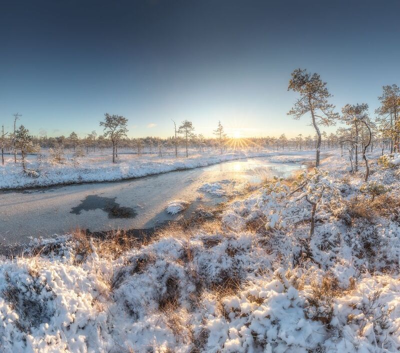 болото, ленобласть, осень Утро на болотеphoto preview
