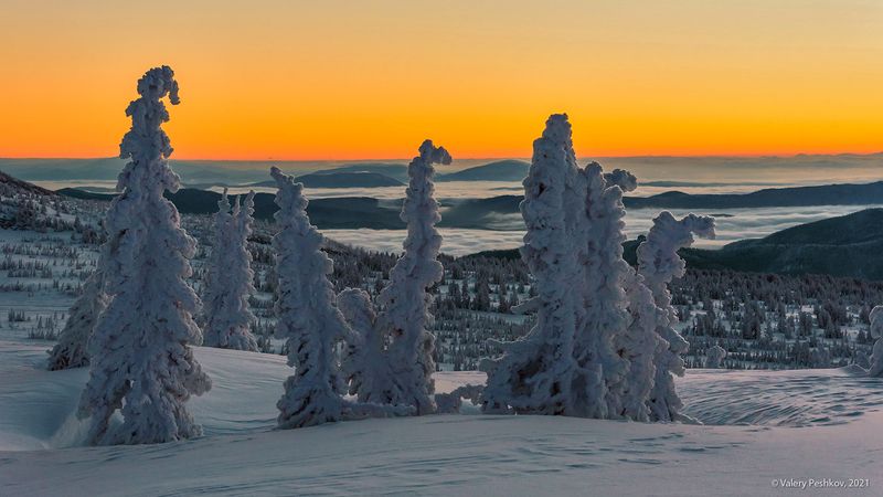утро, сумерки, рассвет, зимнее утро, снег, иней, мороз, зима, пихты, гора курган, шерегеш, горная шория, сибирь В ожидании рассветаphoto preview