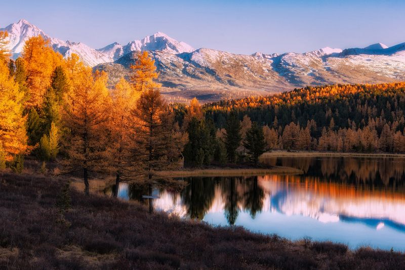 Прощальный аккорд...photo preview