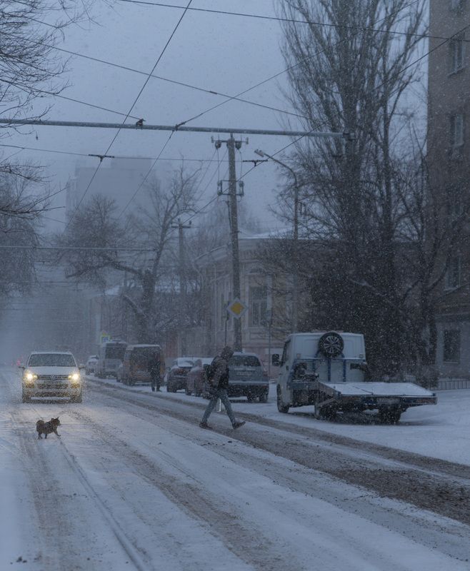 snow, twilight, street, rostov, evning, winter, snowfall, cold, Редкий снегопад у дома.photo preview