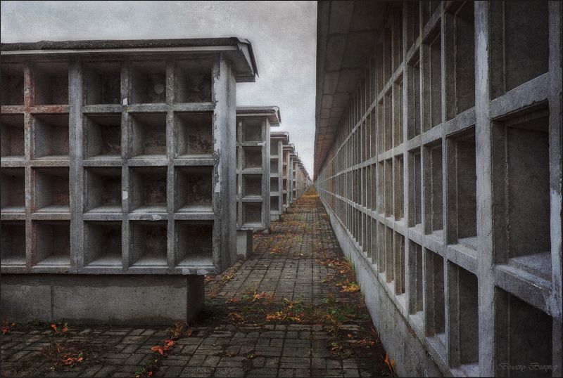 Мёртвый порядокphoto preview