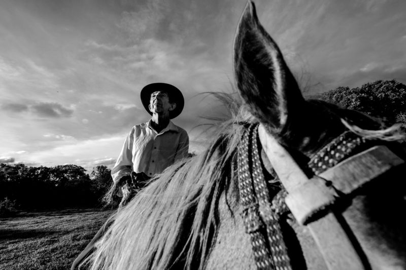 A Surreal Knightphoto preview