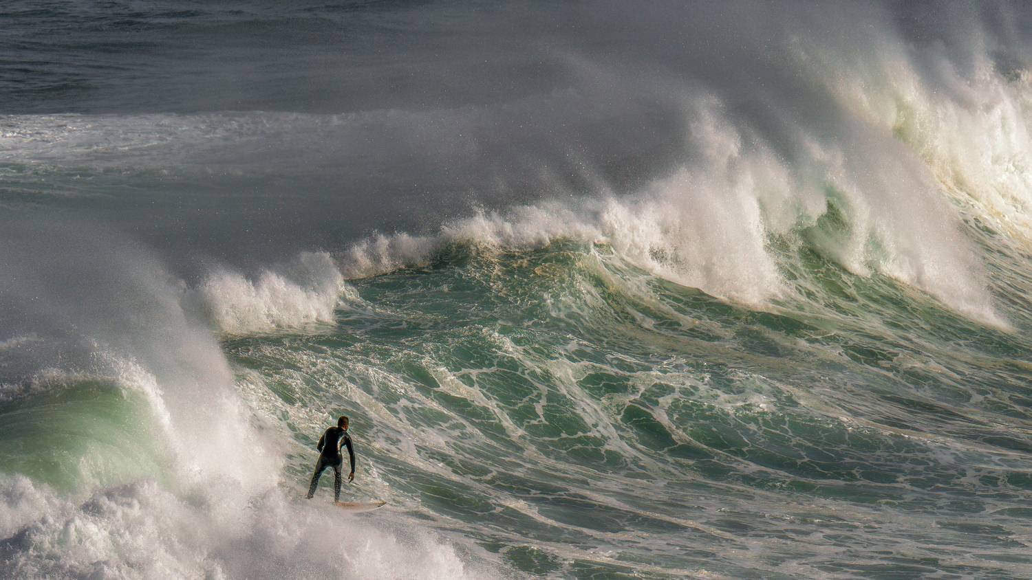 , Евгений Шварцман