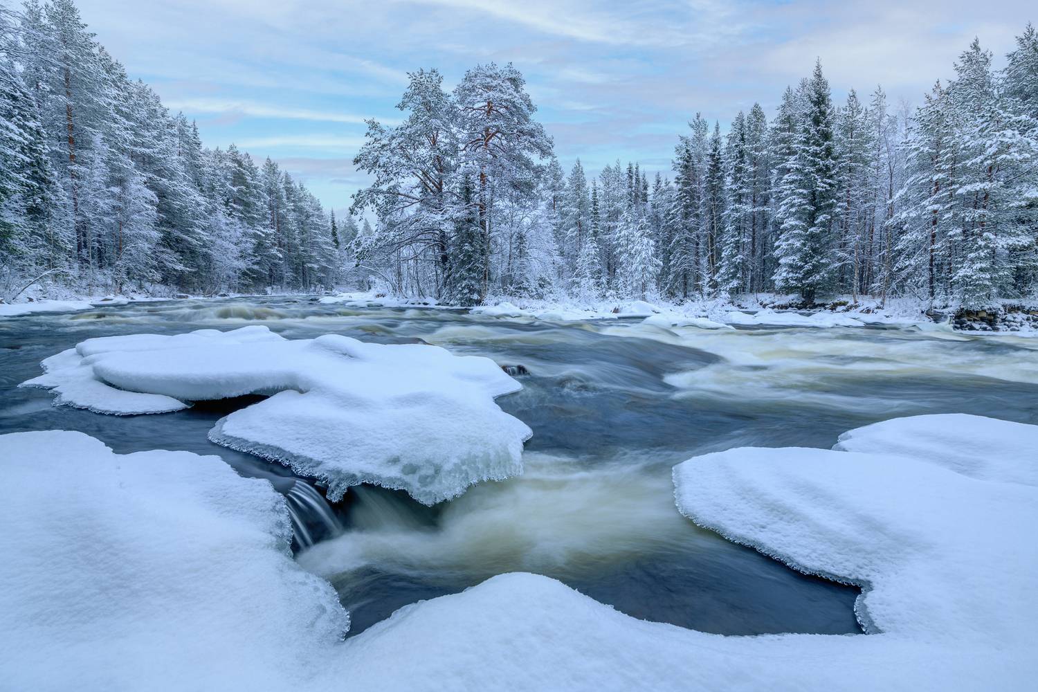 кольский, Евдокимов Максим