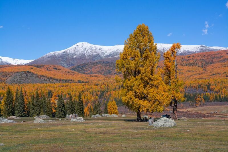 россия, горный алтай,осень С холмаphoto preview