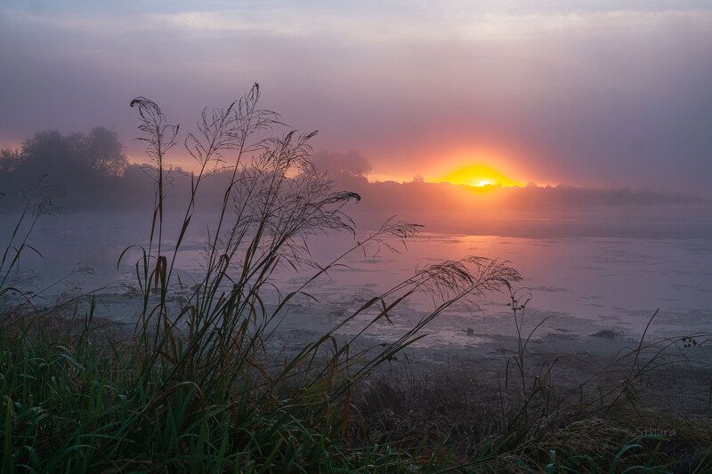 осень озеро туман рассвет природа пейзаж Рассвет.photo preview