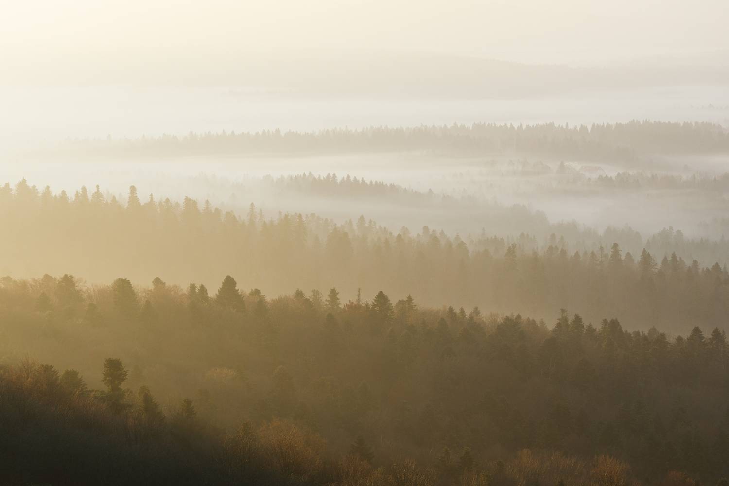 Автор: Mirosław Pruchnicki , Mirosław Pruchnicki