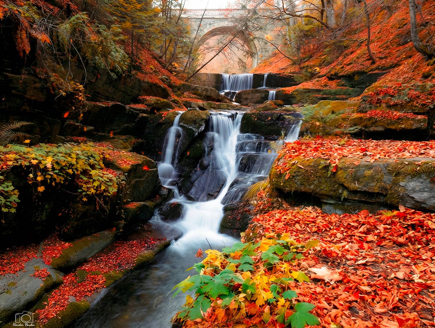 Автор: Naiden Bochev , Naiden Bochev