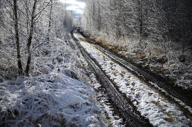 начало зимы фото превью