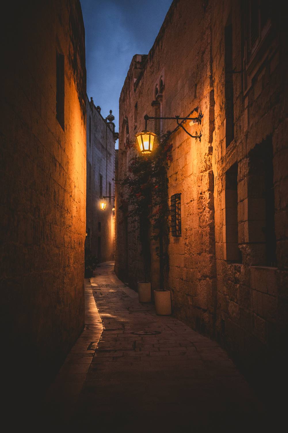 Mdina. Автор: Kononov Anatolii , Kononov Anatolii