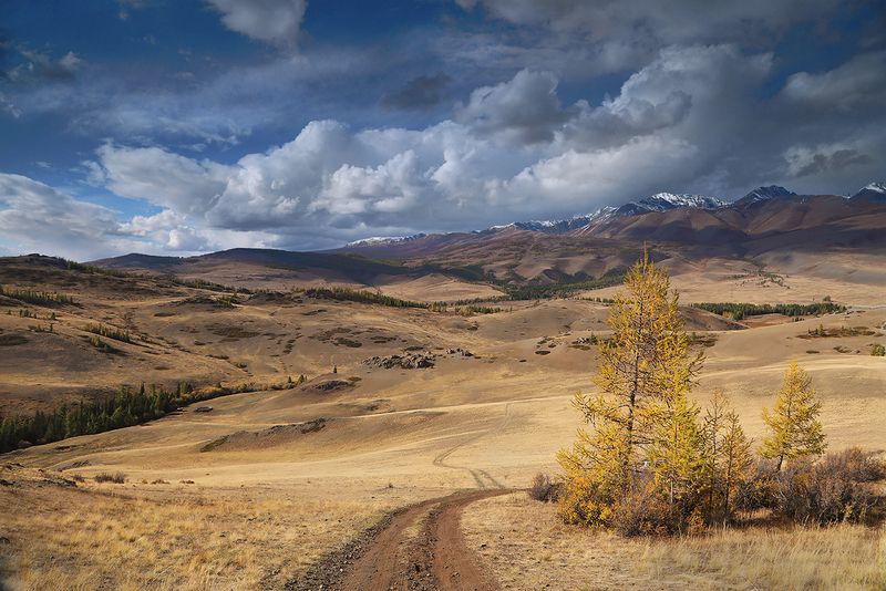 Дорогами осениphoto preview